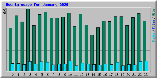 Hourly usage for January 2020
